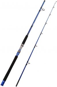 Fiblink 2-Piece Saltwater Spinning Fishing Rod